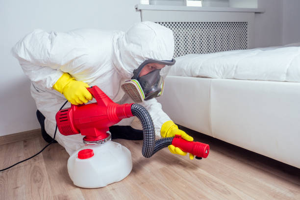 Best Fumigation Services  in Itasca, IL